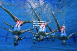 竞技宝官网:德约科维奇鏖战五盘险胜新星 第24座大满贯冠军再进一步